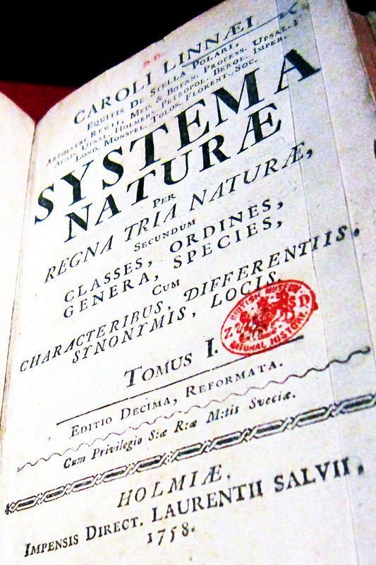 リンネの『自然の体系 第10版』170527大英自然史博物館展: 鴎舞時