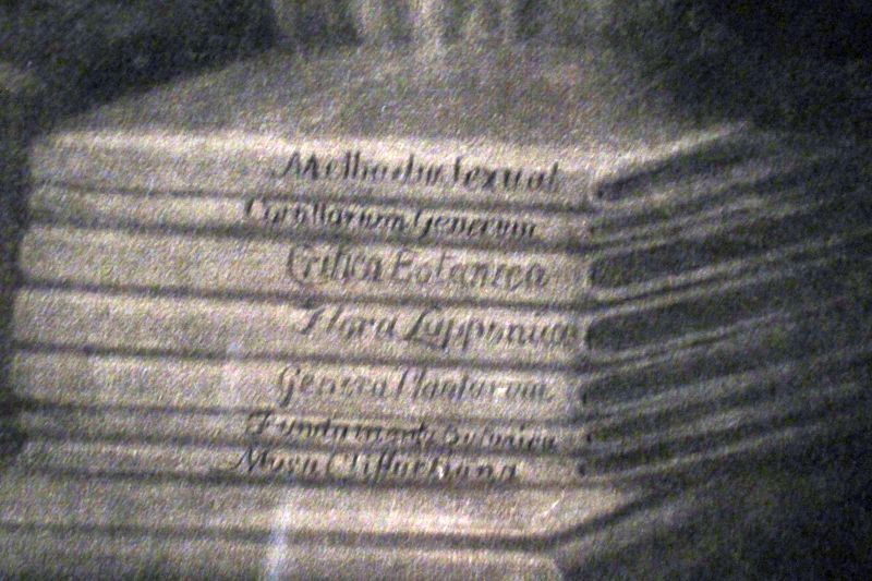 リンネの『自然の体系 第10版』170527大英自然史博物館展: 鴎舞時